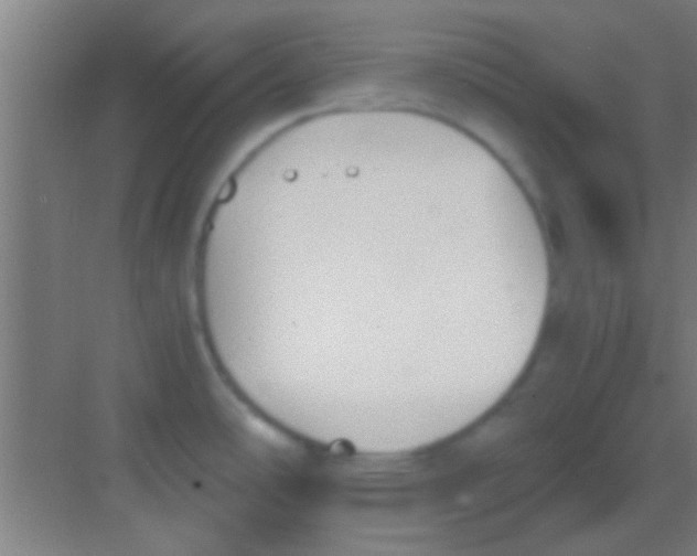 X0000081291486200702082005