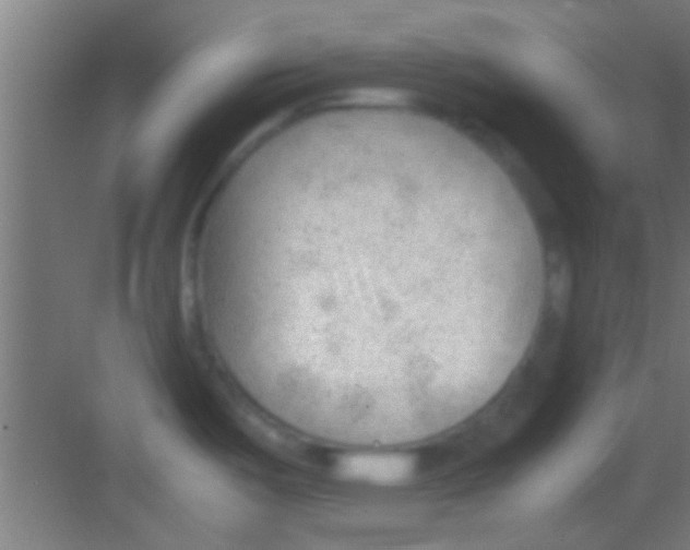 X0000081291487200702082005