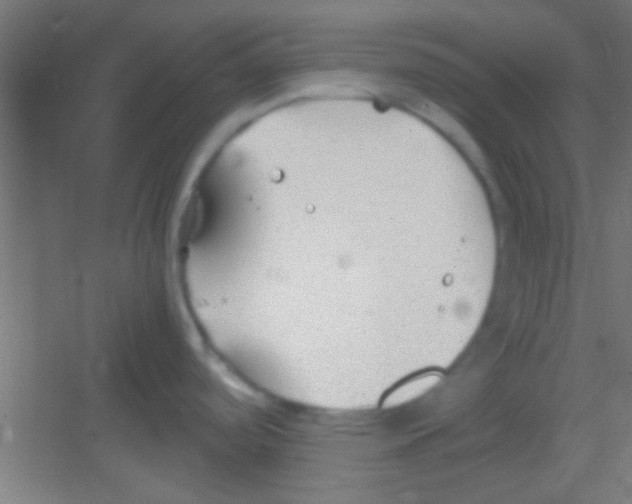 X0000081291488200702082005