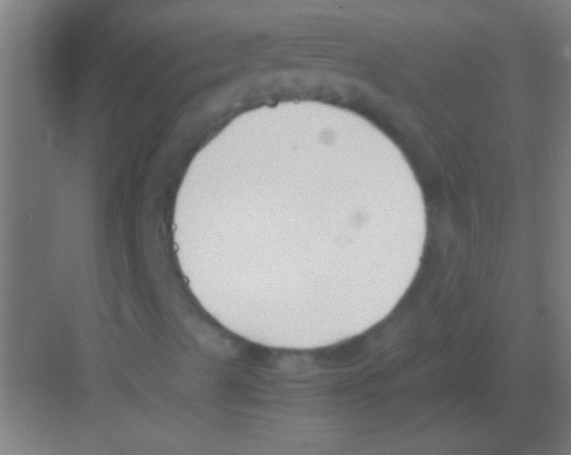 X0000081291489200702082005