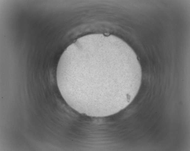 X0000081291490200702082005