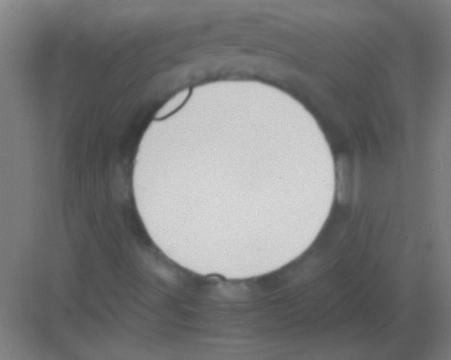 X0000081291491200702082005