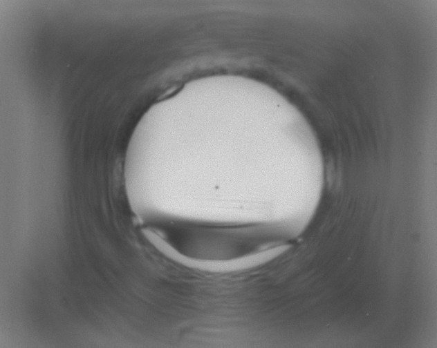 X0000081291492200702082005