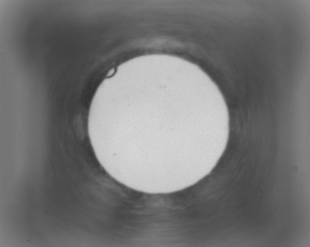 X0000081291493200702082005