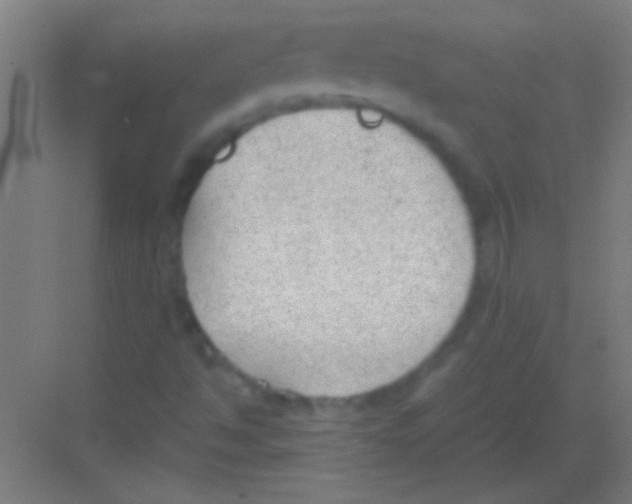 X0000081291494200702082005