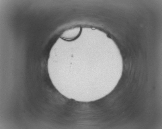 X0000081291495200702082005