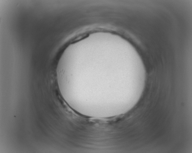 X0000081291496200702082005