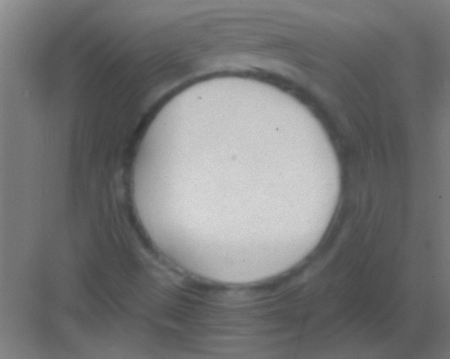 X0000081291497200702082005