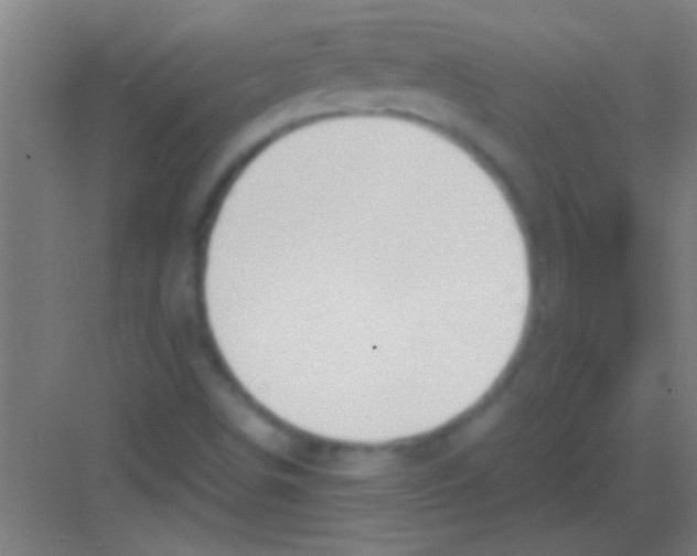 X0000081291498200702082005