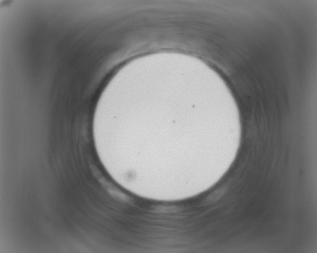 X0000081291499200702082005