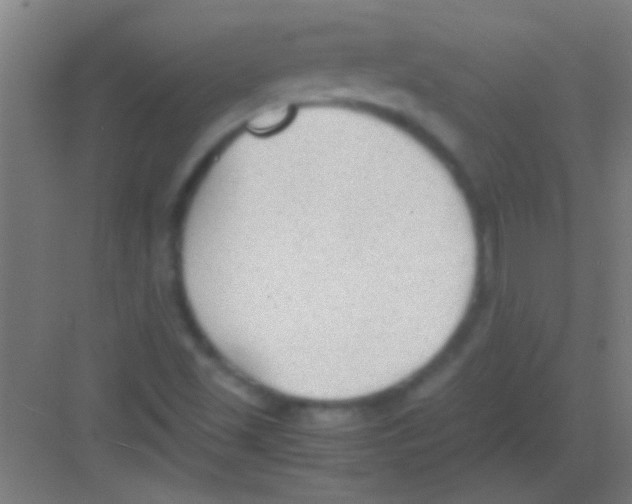 X0000081291501200702082005