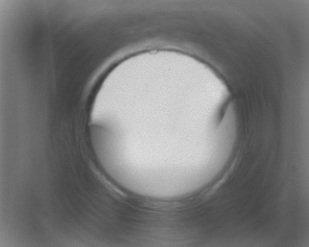 X0000081291502200702082005