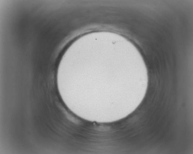 X0000081291503200702082005