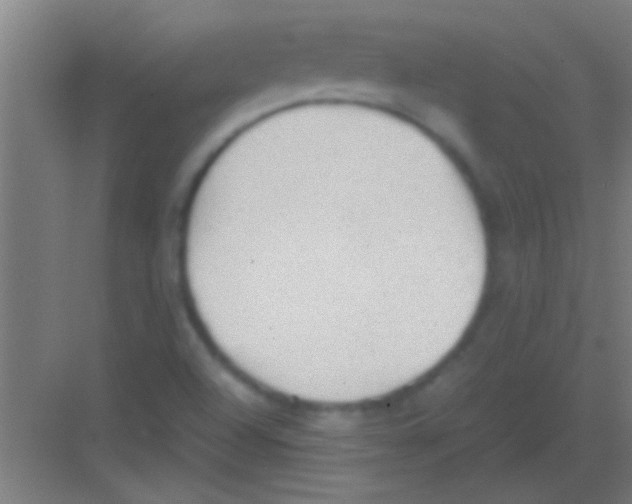 X0000081291504200702082005