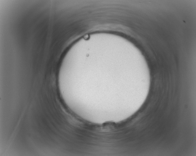 X0000081291505200702082005