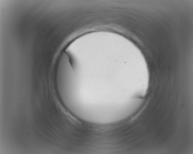 X0000081291506200702082005