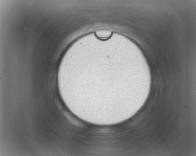 X0000081291507200702082005