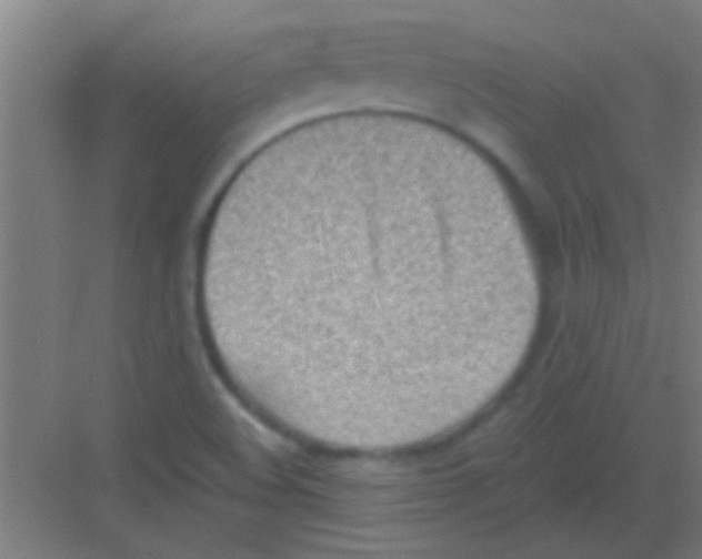 X0000081291508200702082005