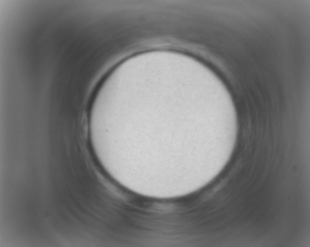 X0000081291509200702082005