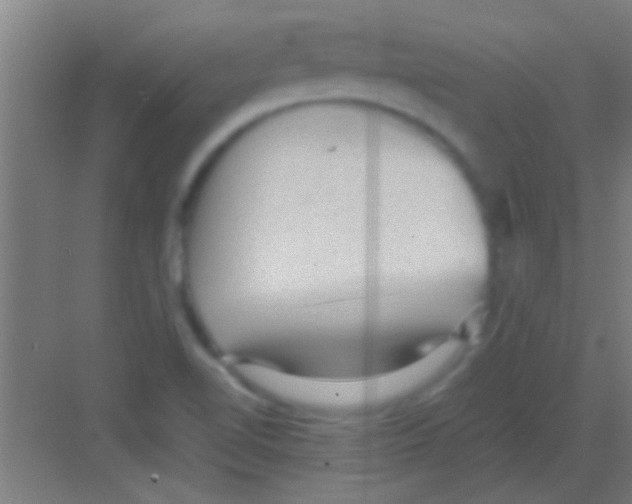 X0000081291510200702082005