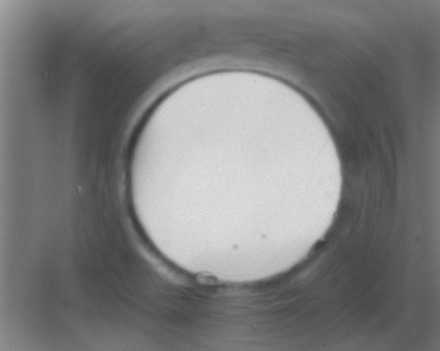 X0000081291511200702082005