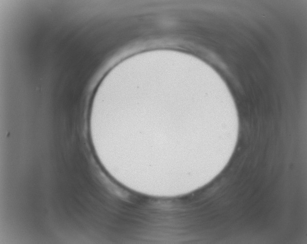 X0000081291512200702082005