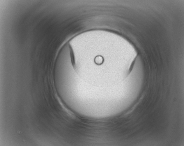 X0000081291513200702082005