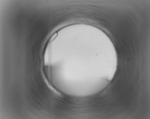 X0000081291515200702082005