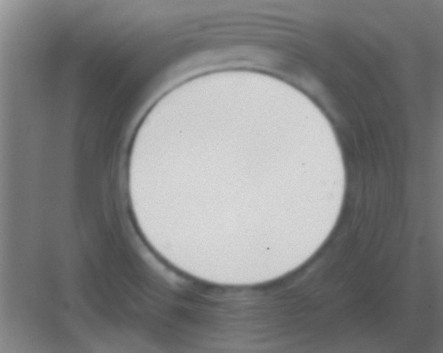 X0000081291516200702082005