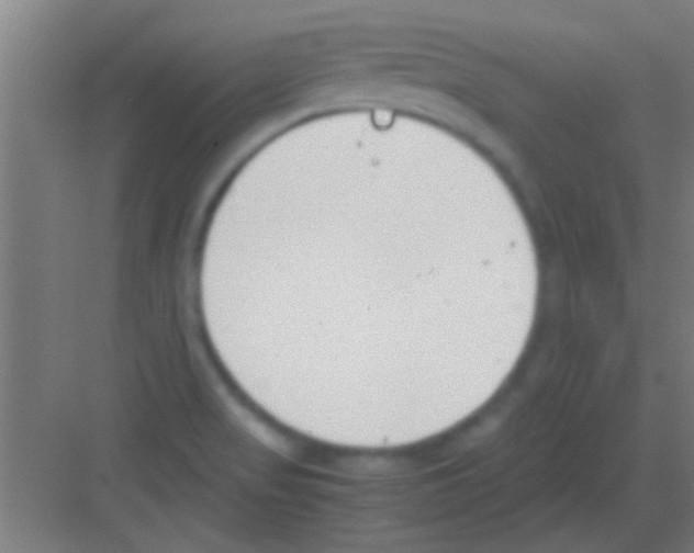 X0000081291517200702082005