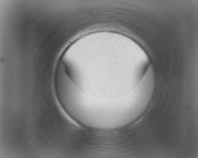 X0000081291518200702082005