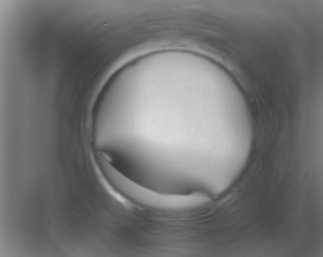 X0000081291519200702082005