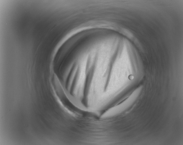 X0000081291520200702082005