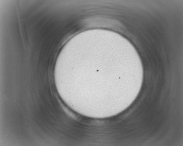 X0000081291521200702082005