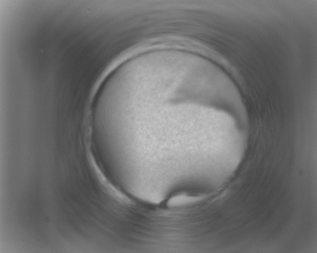 X0000081291522200702082005