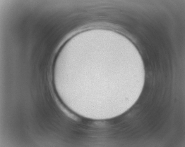 X0000081291523200702082005