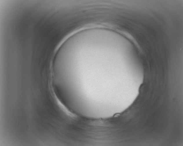 X0000081291524200702082005