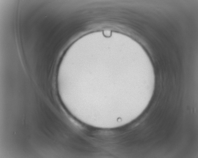 X0000081291525200702082005