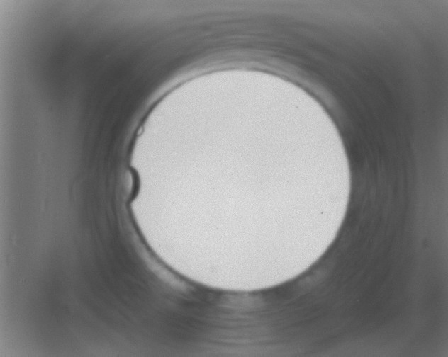 X0000081291526200702082005