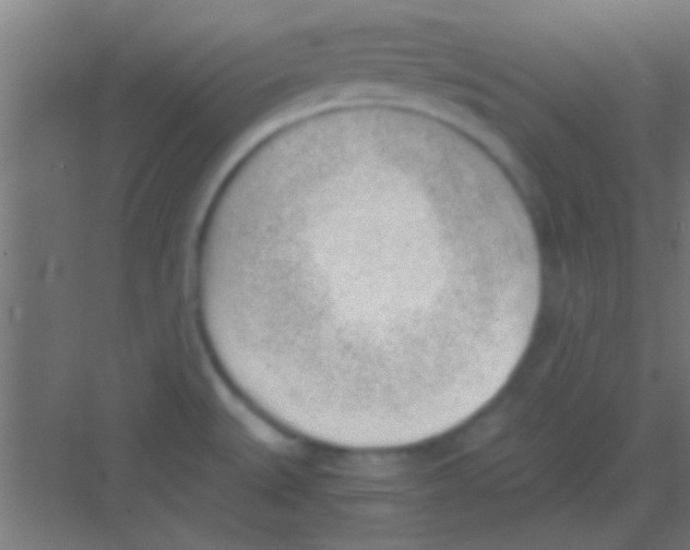 X0000081291527200702082005