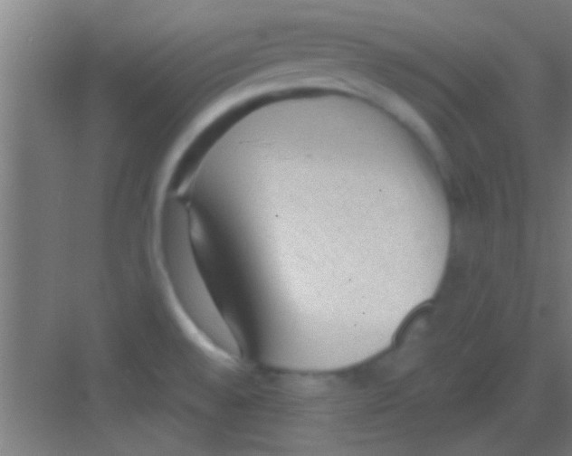 X0000081291528200702082005