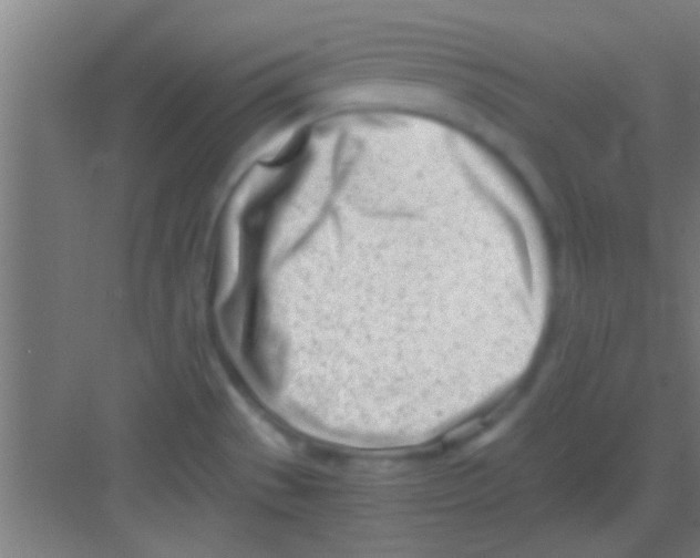 X0000081291529200702082005