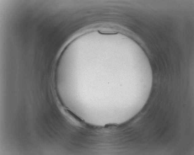 X0000081291530200702082005