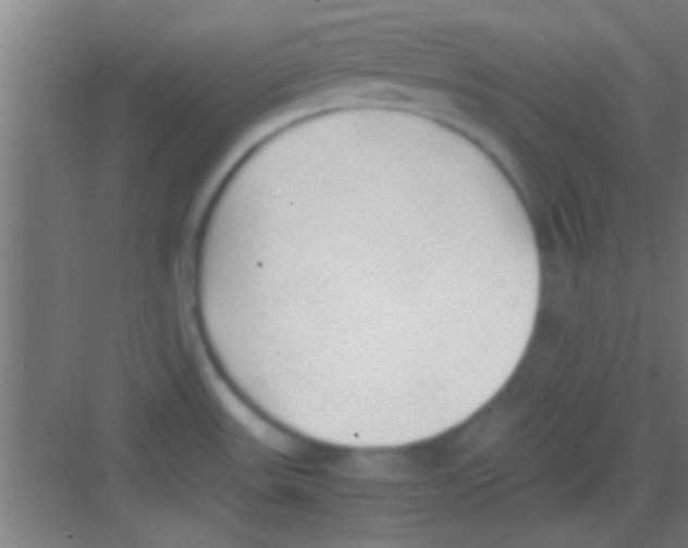 X0000081291531200702082005