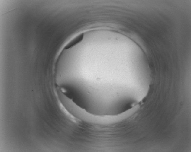 X0000081291532200702082005