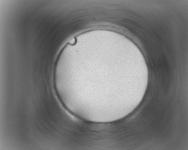 X0000081291533200702082005