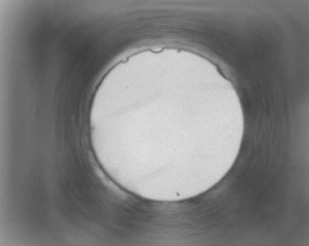 X0000081291534200702082005