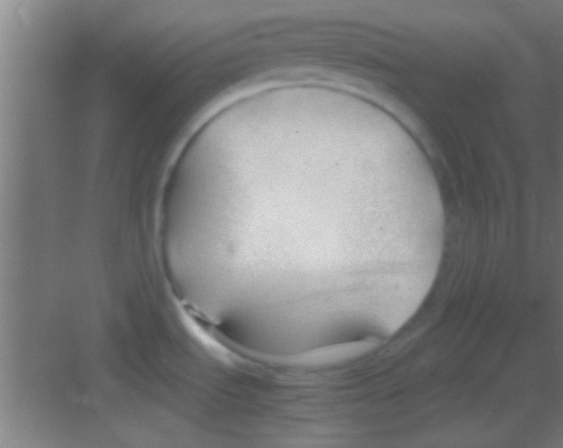 X0000081291535200702082005