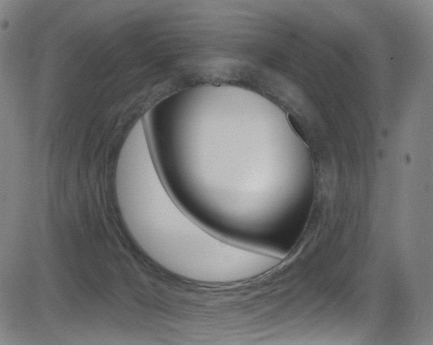 X0000081300029200701110945