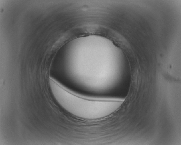 X0000081300031200701110945